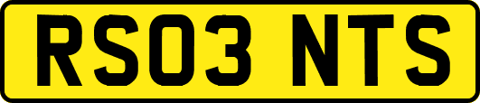 RS03NTS