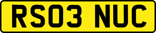 RS03NUC
