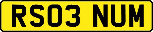 RS03NUM