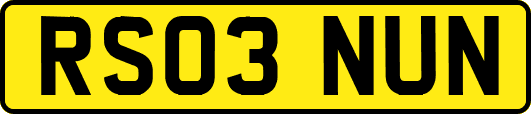 RS03NUN