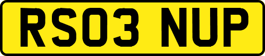 RS03NUP