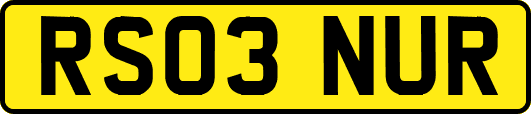RS03NUR