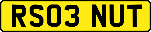 RS03NUT