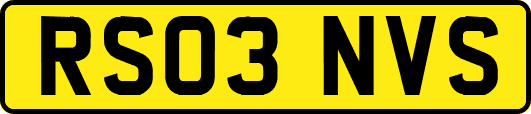 RS03NVS