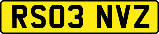 RS03NVZ