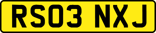 RS03NXJ