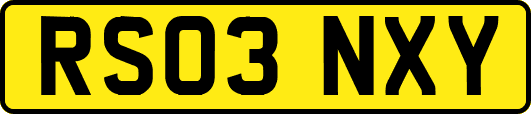 RS03NXY