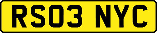 RS03NYC