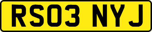 RS03NYJ