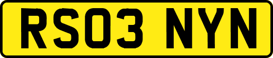 RS03NYN