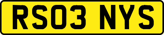 RS03NYS
