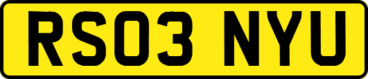 RS03NYU
