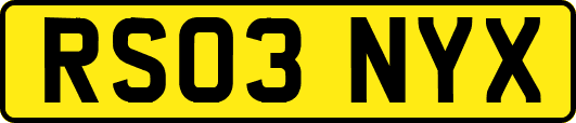 RS03NYX