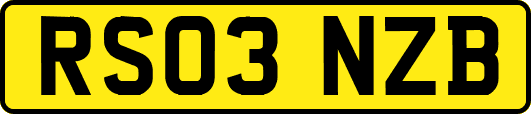 RS03NZB