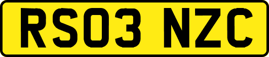RS03NZC