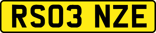 RS03NZE