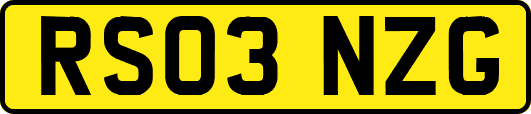 RS03NZG