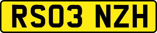 RS03NZH