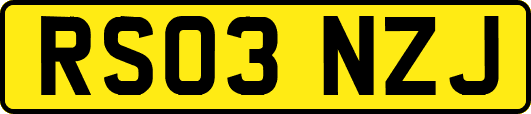 RS03NZJ