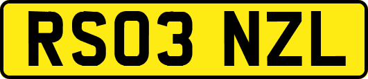 RS03NZL