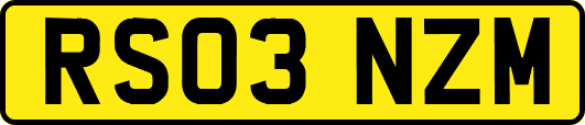 RS03NZM