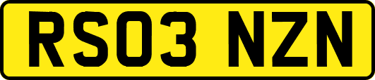 RS03NZN