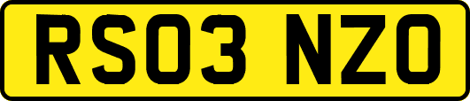 RS03NZO