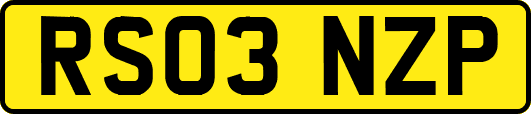 RS03NZP