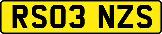 RS03NZS