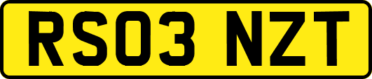 RS03NZT
