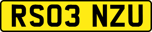 RS03NZU