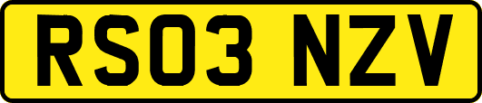 RS03NZV