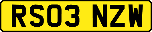 RS03NZW