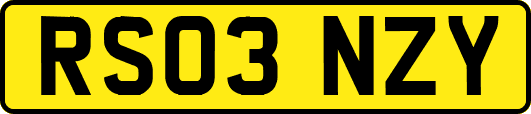 RS03NZY