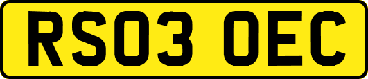 RS03OEC