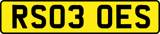 RS03OES