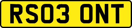 RS03ONT