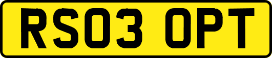 RS03OPT