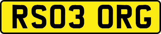 RS03ORG