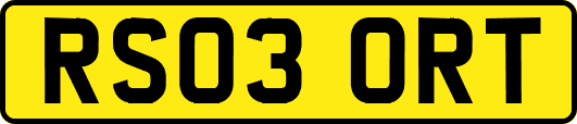 RS03ORT