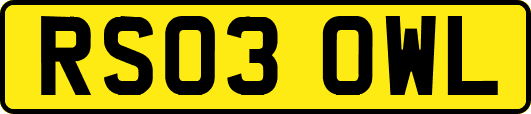 RS03OWL