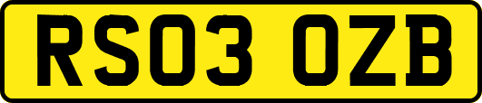 RS03OZB
