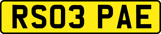 RS03PAE