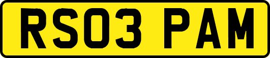 RS03PAM