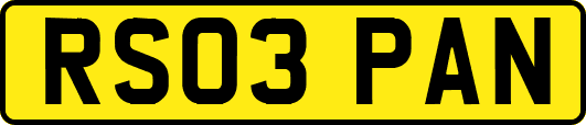 RS03PAN