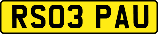 RS03PAU