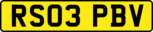 RS03PBV