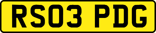 RS03PDG