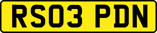 RS03PDN