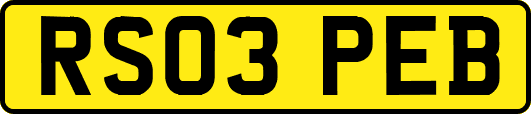 RS03PEB